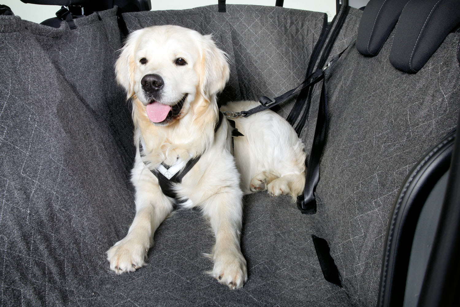 Rücksitzverbreiterung Auto Hund, von Kleinmetall